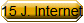 15 J. Internet