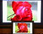 1000 PC - LCD TV